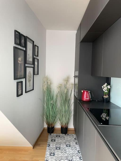 Luxus-oase Mit Weitblick Apartment
