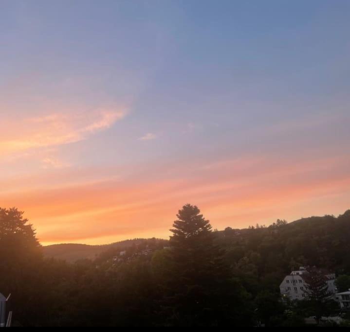 Luxus-oase Mit Weitblick Wien